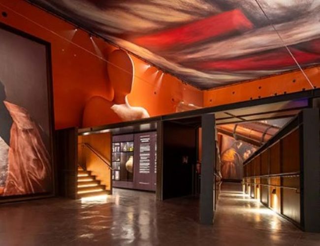 A thematic olive oil museum